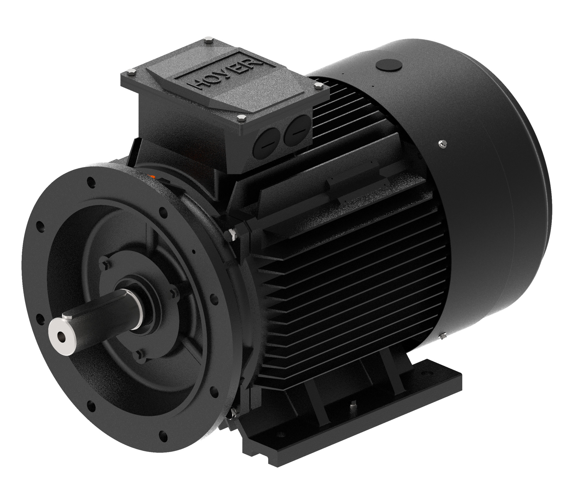 Danfoss Electrical Motor