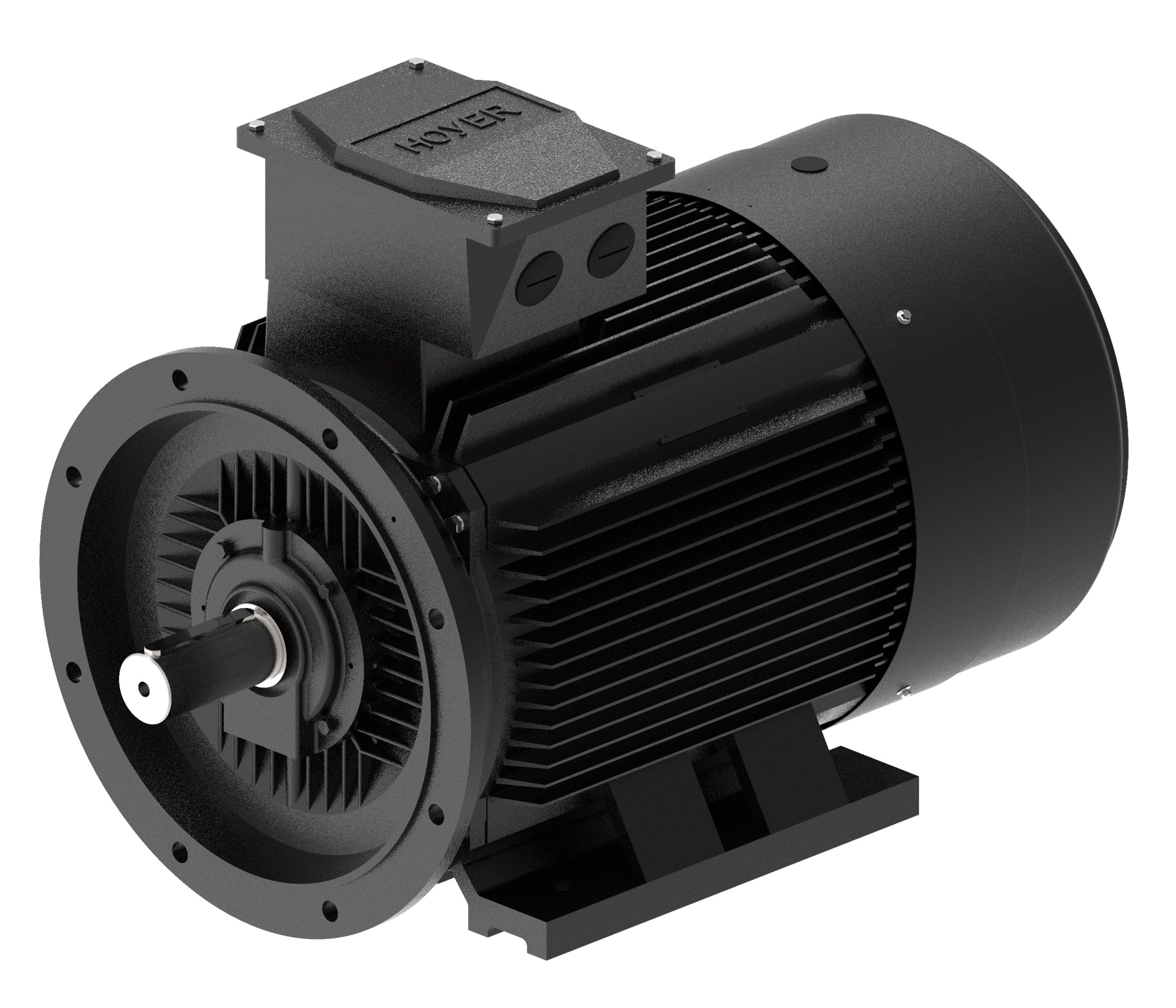 Danfoss Electrical Motor