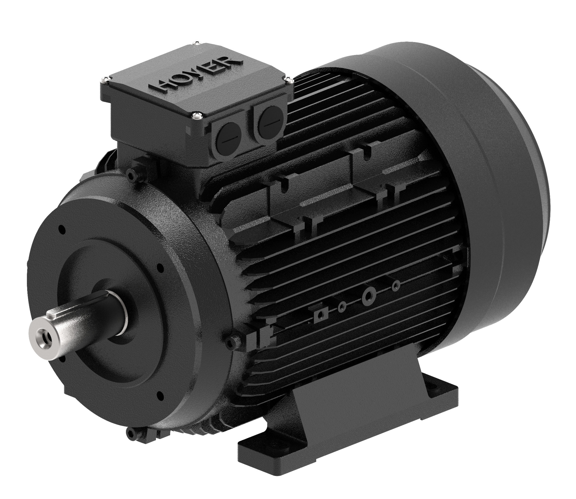 Danfoss Electrical Motor
